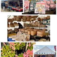 オキザリス,ユリ,竹　細工,イベント,今日の一枚の画像