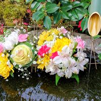 アルストロメリア,キク,葉牡丹の画像