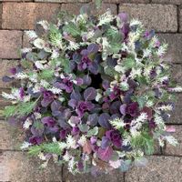 葉牡丹,ミニ葉牡丹,ガーデニング,ナチュラルガーデン,植物のある暮らしの画像