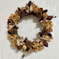 松ぼっくり,松ぼっくり,綿花,綿花,酔芙蓉の画像