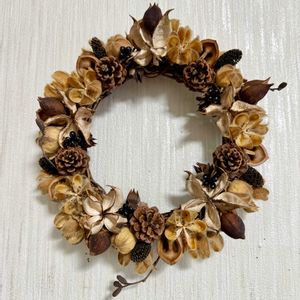 松ぼっくり,松ぼっくり,綿花,綿花,酔芙蓉の画像