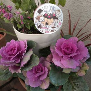 ベランダガーデン,癒し,お散歩道,今日のお花,ニャンニャンの日の画像