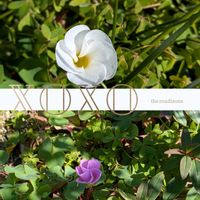 オキザリス,オキザリスクルクルの画像