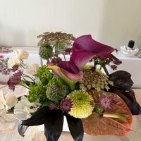 カラー,カラー,ポピー,ポピー,マーガレットの画像