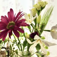 スターチス,ムギ,スプレーマム,リューココリーネ,切り花の画像