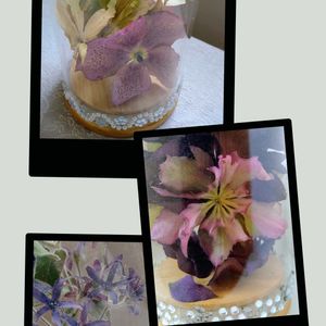 クリスマスローズ,ブルースター,フェイクフラワー＊,ドライフラワー,ドライフラワーのある暮らしの画像