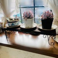 カンテ,円(まどか),多肉植物,DIY,DIY飾り棚の画像
