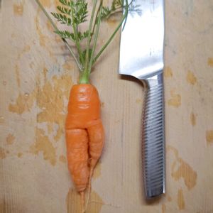 ニンジン,人参,プランター野菜,種まきっ子,種からの画像