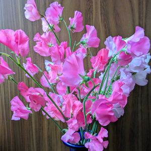 スイトピー,切り花を楽しむ,可愛いお花達,世界に平和を,いつもありがとう(^-^)の画像