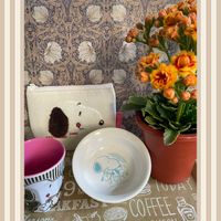 カランコエ,ヒイラギ,五色ヒイラギ,八重咲きカランコエ,カランコエ：クイーンモアフラワーズ パリの画像