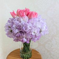 スイートピー,チューリップ,花のある暮らし,岩手県,季節を感じる暮らしの画像