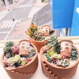 多肉寄せ植え,手作り鉢,イベント出店,テラコッタ鉢,#多肉植物の画像
