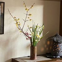 蝋梅,生け花,花のある暮らし,香りのいい花,短歌の画像