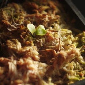 ハオルチア,多肉植物,観葉植物,塊根植物,サボテン科の画像