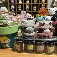 ベランダー,多肉女子,おひとりさま多肉,GS植物うちなーぐち会,まつぴよさんｿｯｸｽﾌｧﾐﾘｰ♥️の画像