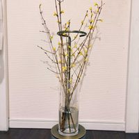 レンギョウ,切り花,生花,flower,枝ものの画像