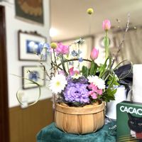 ガーベラ,スイートピー,チューリップ,チューリップ,デルフィニュウムの画像