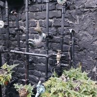 シダ,シダ,蛇口,節分,おでかけ先の画像