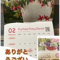 パンジー・ビオラ,柊（ひいらぎ）,チームスヌー,毎月2日はスヌーピーの日,鈴鹿パーキングエリアの画像