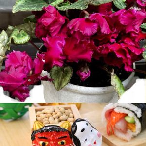 カーネーション,カーネーション,ゼラニウム,ゼラニウム,ガーデンシクラメンの画像