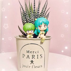 可愛い〜♡,多肉植物のある暮らし,節分,とってもキレイ♡,キュンキュン乙女倶楽部の画像