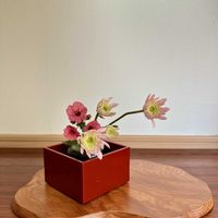 キク,メネシア,花のある暮らし,節分,お花大好き♡の画像