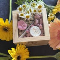 ガーベラ,節分の画像