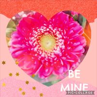 ガーベラ,自室,人との繋がりに感謝✨,今日も元気に頑張ろう‼️,花友さんに感謝♡の画像