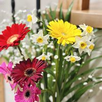 ガーベラ,スイセン,花瓶の画像