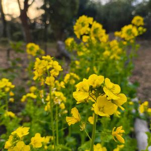 お出かけ先の画像