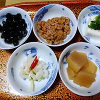 ガジュマル,胡蝶蘭,デンドロビューム,アボカド鉢植え,ベランダの画像