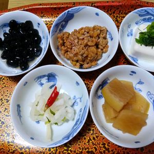 ガジュマル,胡蝶蘭,デンドロビューム,アボカド鉢植え,ベランダの画像