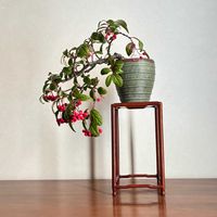 コトネアスター,盆栽,紅葉（こうよう）,玄関アプローチ,玄関内側の画像