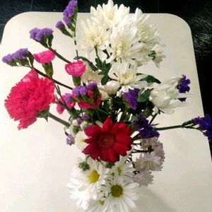 カーネーション,ガーベラ,キク,スターチス,菊の画像