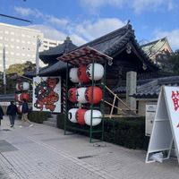 ドウダンツツジ,「東長寺」,「東長寺」,節分,おでかけ先の画像