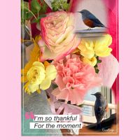 ラナンキュラス,イソヒヨドリ♂,イソヒヨドリ♂,ミニブーケ,野鳥の画像