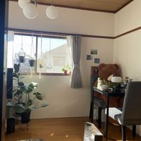 チランジア,グリーンネックレス,チューリップ,ヒヤシンス,ポトスの画像