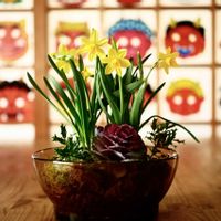 葉牡丹,ミニスイセン テータテート,姫ひいらぎ,古道具,ブロカントの画像