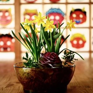 葉牡丹,ミニスイセン テータテート,姫ひいらぎ,古道具,ブロカントの画像