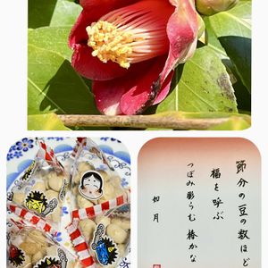 部屋,お出かけ先の画像