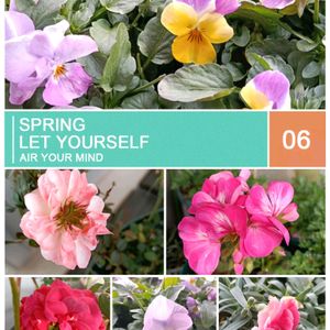 冬の花,バルコニー/ベランダの画像