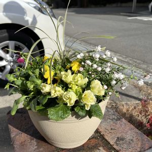 玄関アプローチの画像