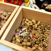 啓翁桜,大豆,やよいひめ,癒し,節分の画像