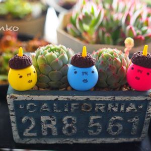 節分,全国オヤジ連合会,全国オヤジ連合会 会長,ぽんちゃん,MOCさんの落花生アートの画像