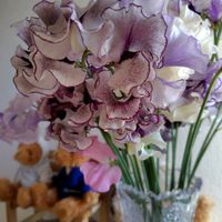 スイートピー,スイートピー,花手箱,花手箱,節分の画像