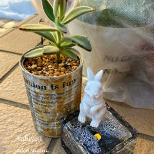 月兎耳,節分,不織布,キュンキュン乙女倶楽部,HTCの画像