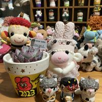 ベランダー,節分,多肉女子,おひとりさま多肉,GS植物うちなーぐち会の画像