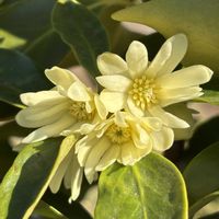 ベランダの画像