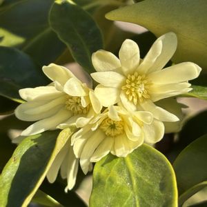 ベランダの画像