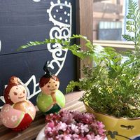 シノブ,レッドベリー錦,シダ愛好会,毎月４日はシダの日,さわの瓢箪シリーズの画像